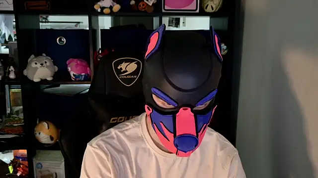 MellPUP online show from 06.09.26