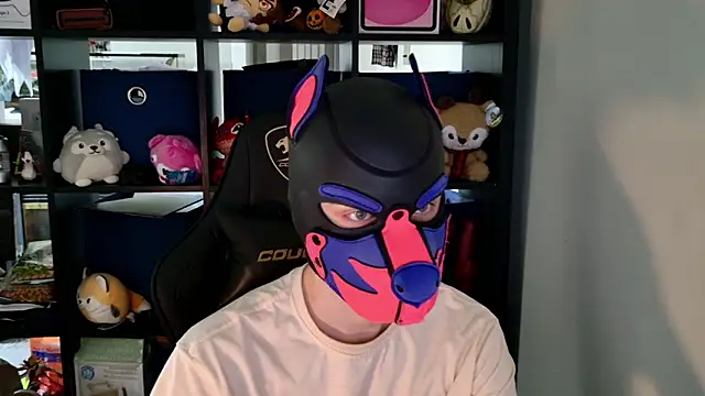 MellPUP online show from 06.11.26