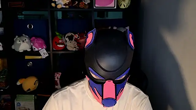 MellPUP online show from 06.19.26