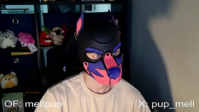 MellPUP online show from 06.25.26