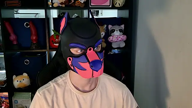 MellPUP online show from 06.30.26