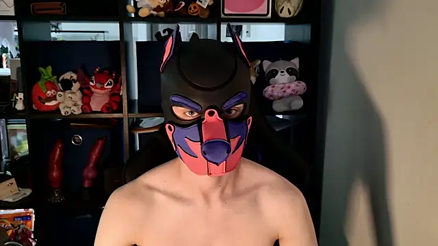 MellPUP online show from 07.14.26