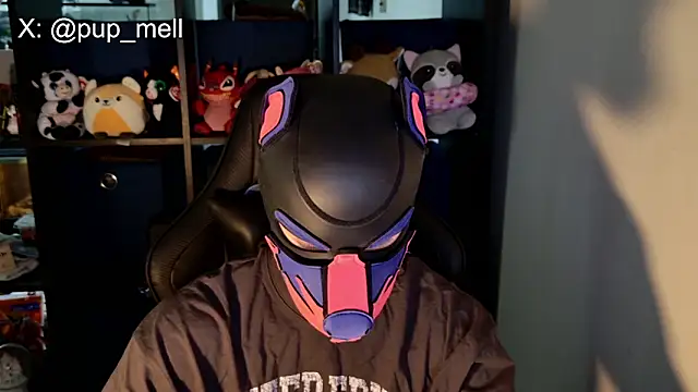 MellPUP online show from 08.04.26