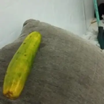 puta casada online show from 03.07.26