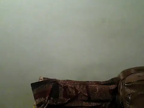 Snapshot of Foxboy65 chatting on 06.19.26 Foxboy65 online show from 06.19.26