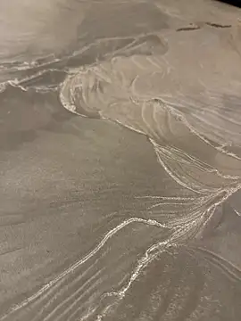 sharks90 online show from 04.21.26