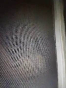 mylove-cute online show from 04.11.26