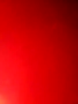 hobgkl online show from 03.13.26