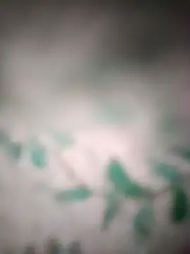 King night1 online show from 03.25.26