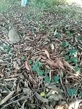 new sexy couple online show from 04.07.26