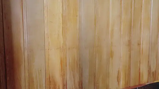 Eliffe jhonson online show from 03.16.26