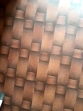 Dreamxii online show from 03.13.26