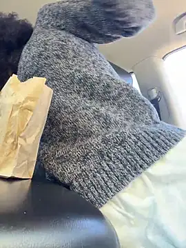 FerrariFrench online show from 03.29.26