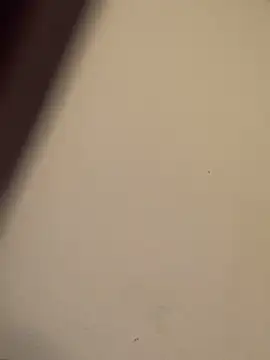 Snapshot of buivali00 chatting on 03.15.26 buivali00 online show from 03.15.26