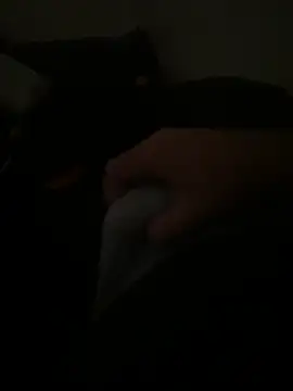 yassineamri online show from 03.28.26