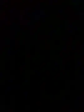 stillrisee online show from 03.23.26