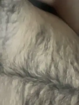 TurkishBoyzs online show from 04.11.26