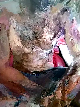 SteedyGee online show from 03.27.26