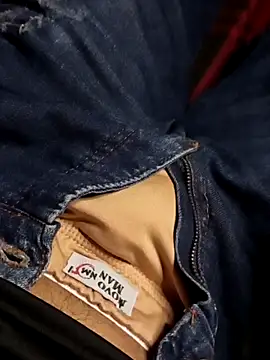 novinho137 online show from 03.31.26