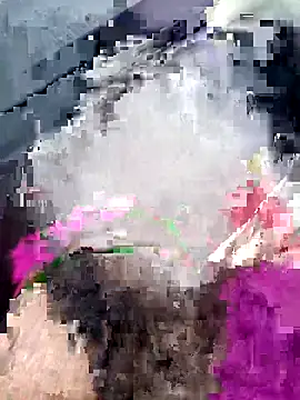 Snapshot of Sarita-sousou chatting on 04.01.26 Sarita-sousou online show from 04.01.26