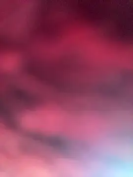 eu elisa online show from 04.01.26