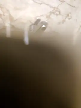 Snapshot of OBengaliBabuO chatting on 03.16.25 OBengaliBabuO online show from 03.16.25