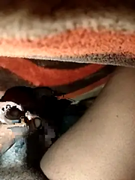 Snapshot of chickelikeme chatting on 04.09.26 chickelikeme online show from 04.09.26