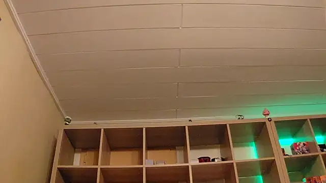 SilvyDiamond online show from 04.07.26