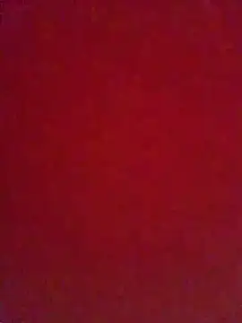 Snapshot of niyak_tatat696 chatting on 05.19.26 niyak tatat696 online show from 05.19.26