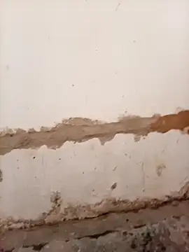 Nkazimulz online show from 04.09.26