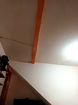 Snapshot of ricosh chatting on 04.11.26 ricosh online show from 04.11.26