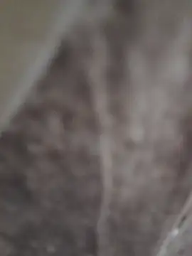 Snapshot of sk022 chatting on 04.15.26 sk022 online show from 04.15.26