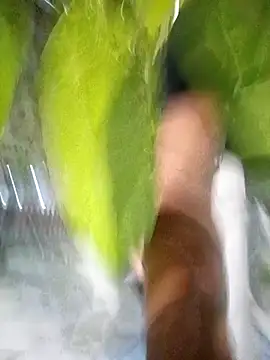 hot-daring online show from 04.14.26