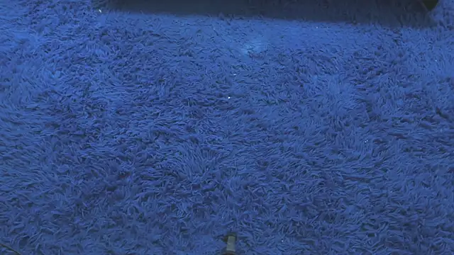 Mia-collins01 online show from 04.15.26