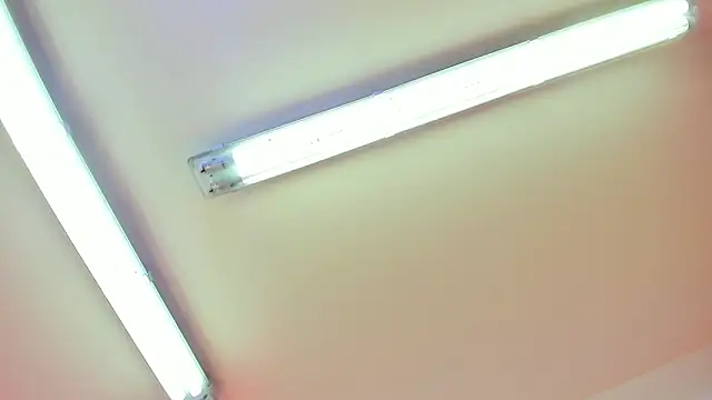 Draco blaze online show from 05.08.26