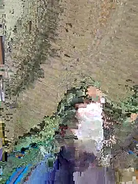 Snapshot of dickforpussyy chatting on 04.16.26 dickforpussyy online show from 04.16.26