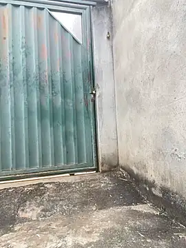 gozarpordez2 online show from 04.24.26