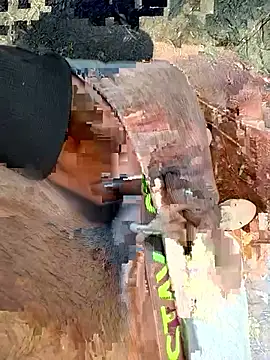 Wolf 18cm online show from 04.28.26