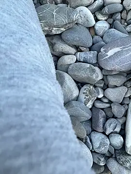 Wolf 18cm online show from 04.29.26