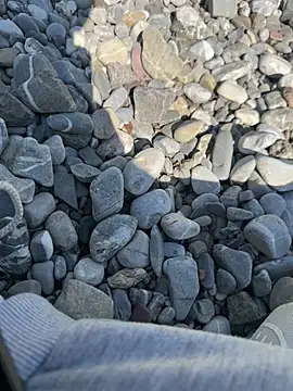 Wolf 18cm online show from 04.30.26