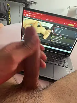 Wolf 18cm online show from 07.05.26