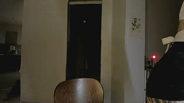 Snapshot of Jane_Bright chatting on 02.22.25 Jane Bright online show from 02.22.25