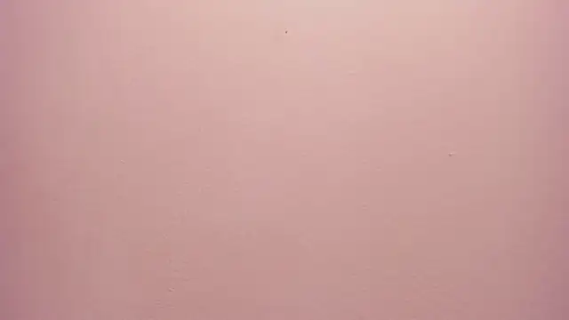 Snapshot of _anais_rose_ chatting on 05.30.26 anais rose online show from 05.30.26