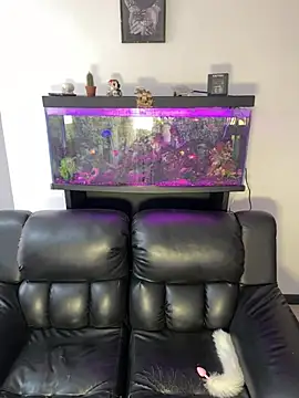 Snapshot of Gretel_Hansel chatting on 06.26.26 Gretel Hansel online show from 06.26.26