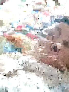 Snapshot of Orio-baby chatting on 05.31.26 Orio-baby online show from 05.31.26