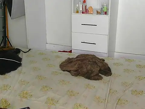 Snapshot of SexyLi_ chatting on 07.30.26 SexyLi online show from 07.30.26