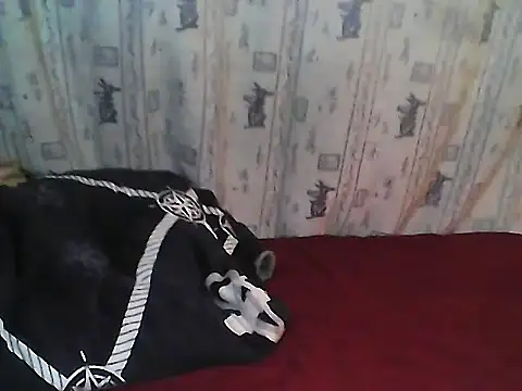 Snapshot of Buchi_sexylady chatting on 06.19.26 Buchi sexylady online show from 06.19.26