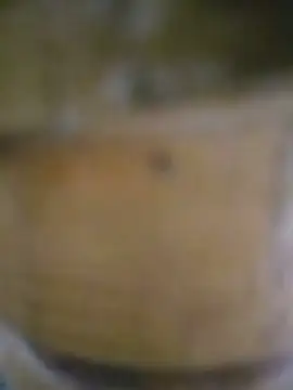 Snapshot of Mian_Khalifa_143 chatting on 07.25.26 Mian Khalifa 143 online show from 07.25.26