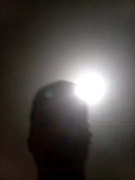 bxbicho20 online show from 06.28.26