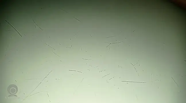 Snapshot of Just_for_trans chatting on 02.21.25 Just for trans online show from 02.21.25